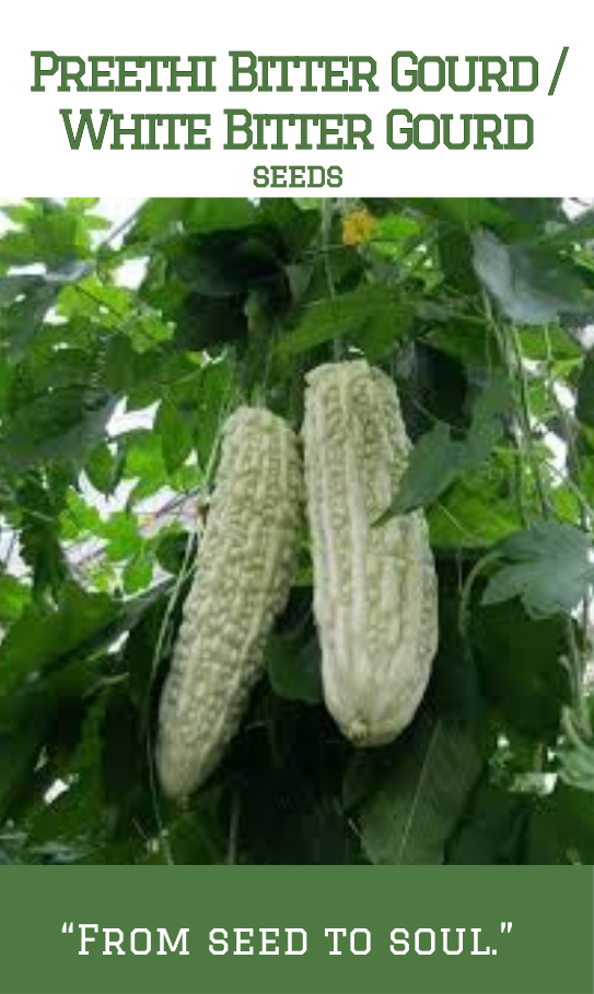 Preethi Bitter Gourd / White Bitter Gourd