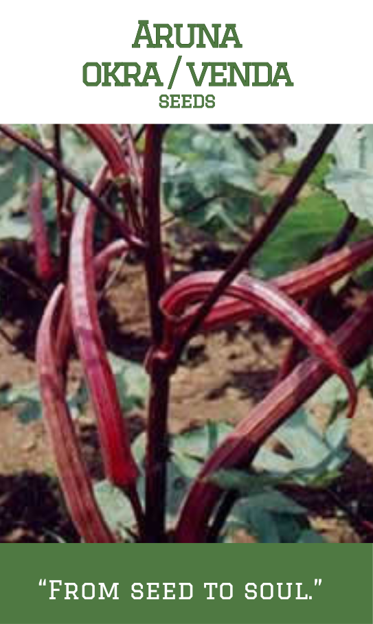 Aruna Okra/Venda