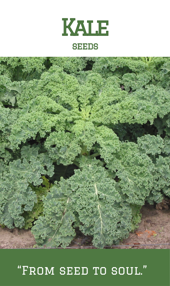 Kale