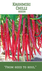 Kashmiri Chilli