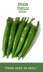 Noor Chilli