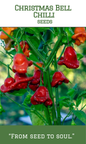 Christmas Bell Chilli