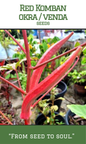 Red long Komban okra