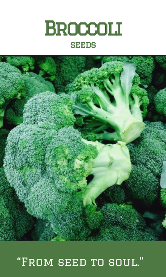 Broccoli