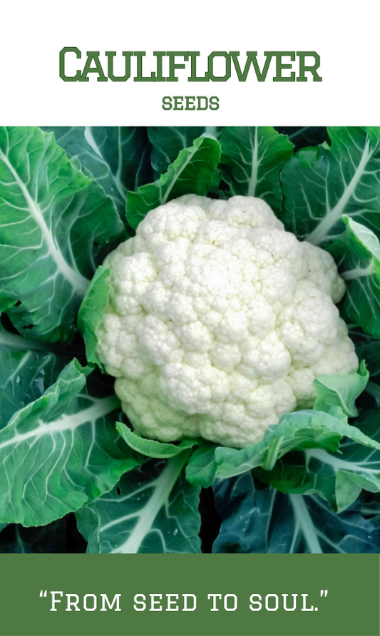 Cauliflower