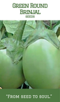 Green Round Brinjal