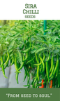 Sira Chilli