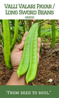 Valli Valari Payar / Long Sword Beans