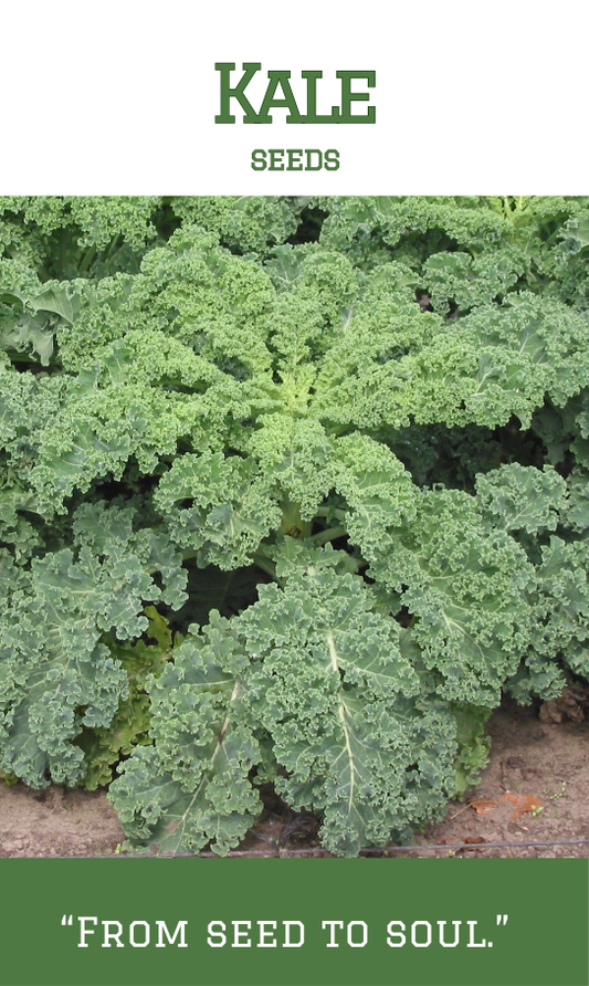 Kale