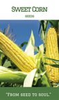 Sweet Corn
