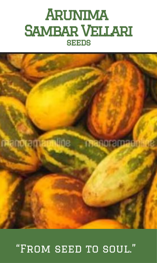 Arunima Sambar vellari /Sambar Cucumber