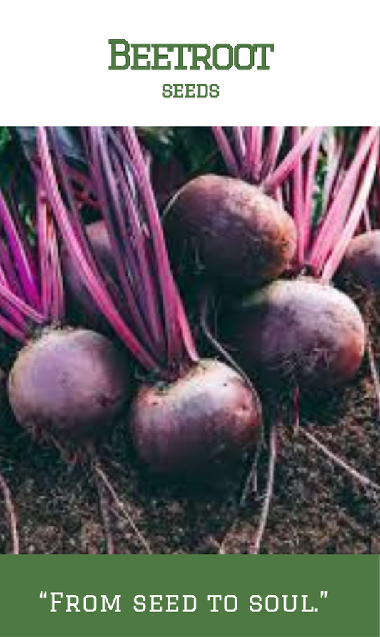 Beetroot