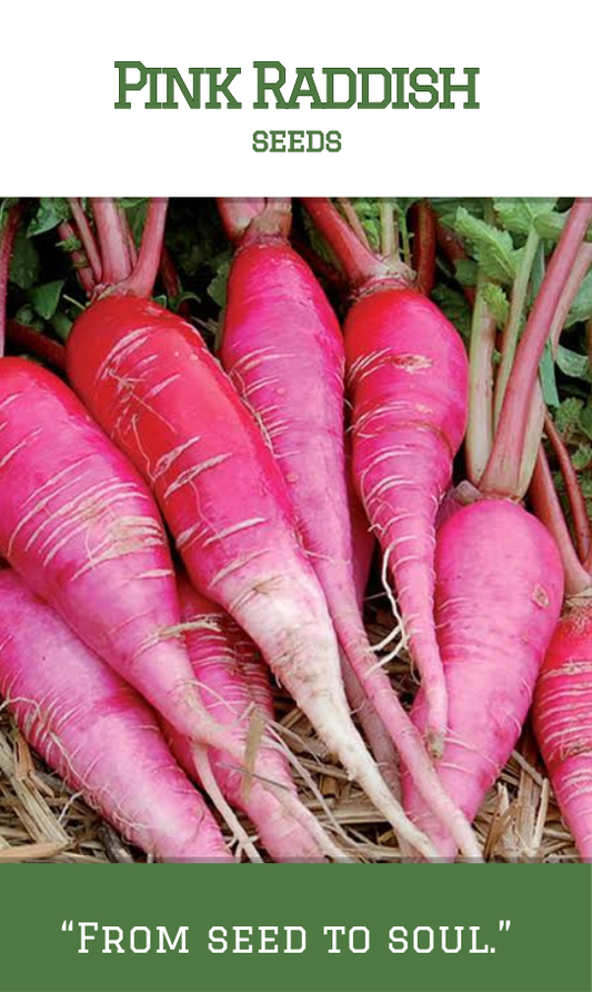 Raddish Pink