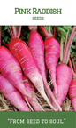 Raddish Pink